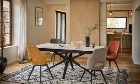 Table de repas + 4 chaises